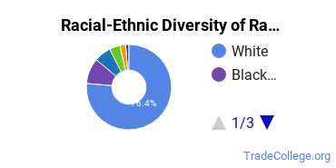Racial-Ethnic Diversity of Randolph-Macon Undergraduate Students