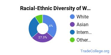 Racial-ethnic diversity of Woodworking majors at Rhode Island School of Design