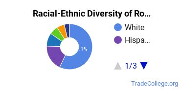 Racial-Ethnic Diversity of Rollins Undergraduate Students