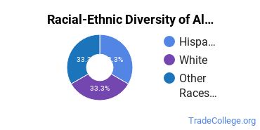 Racial-ethnic diversity of Alternative Fuel Vehicle Technology majors at Saddleback College
