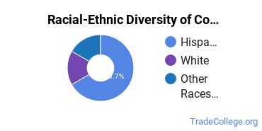 Racial-ethnic diversity of Computer Installation/Repair majors at San Bernardino Valley College