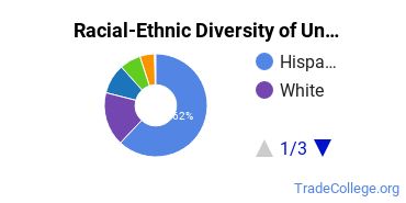 Racial-Ethnic Diversity of San Joaquin Valley College-Fresno Undergraduate Students
