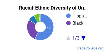 Racial-Ethnic Diversity of San Joaquin Valley College-Lancaster Undergraduate Students