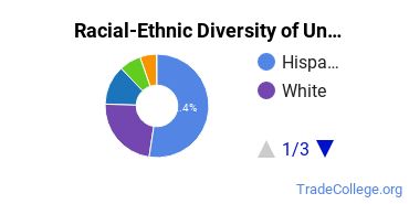 Racial-Ethnic Diversity of San Joaquin Valley College-Temecula Undergraduate Students