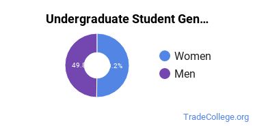 Undergraduate Gender Diversity at SCU