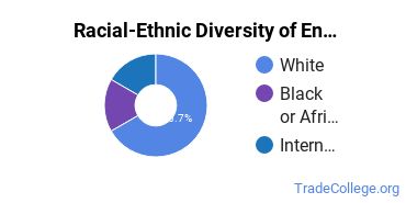 Racial-ethnic diversity of Environmental Control Technology majors at Schoolcraft Community College District