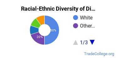 Racial-ethnic diversity of Diesel Mechanics Technology majors at South Seattle College