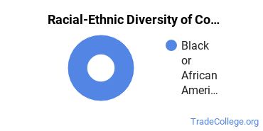 Racial-ethnic diversity of Construction Engineering Technology majors at Siena Heights University