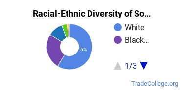 Racial-Ethnic Diversity of South Georgia State College Undergraduate Students