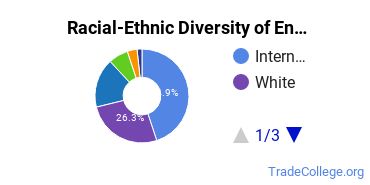 Racial-ethnic diversity of Engineering-Related Fields majors at Stanford University