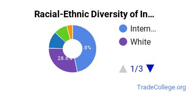 Racial-ethnic diversity of Industrial & Management Engineering majors at Stevens Institute of Technology