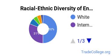 Racial-ethnic diversity of Environmental Control Technology majors at The University of Findlay