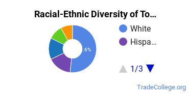 Racial-Ethnic Diversity of Touro University Nevada Undergraduate Students