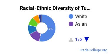 Racial-Ethnic Diversity of Tufts University Undergraduate Students
