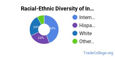 Racial-ethnic diversity of Industrial & Management Engineering majors at University of Arizona