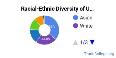 Racial-Ethnic Diversity of UC Berkeley Undergraduate Students