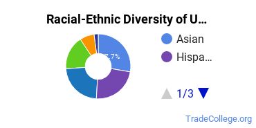 Racial-Ethnic Diversity of UC Davis Undergraduate Students