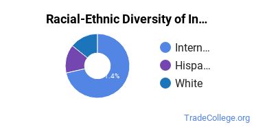 Racial-ethnic diversity of Industrial Production Technology majors at University of Central Missouri