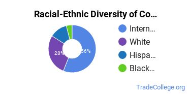 Racial-ethnic diversity of Construction Engineering Technology majors at University of Florida