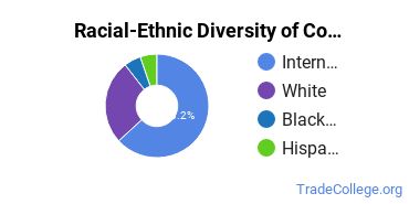 Racial-ethnic diversity of Construction Engineering Technology majors at University of Houston