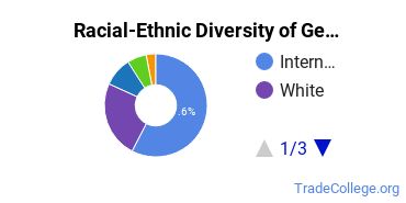 Racial-ethnic diversity of General Engineering Technology majors at University of Rochester
