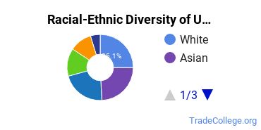Racial-Ethnic Diversity of University of San Francisco Undergraduate Students