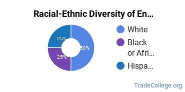 Racial-ethnic diversity of Engineering-Related Fields majors at University of Southern Indiana