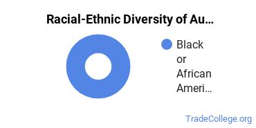 Racial-ethnic diversity of Collision & Repair Technology majors at Wayne County Community College District