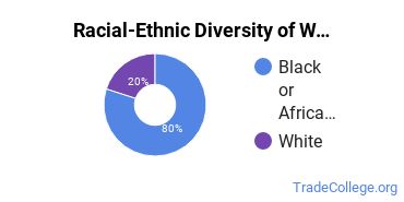 Racial-ethnic diversity of Welding majors at Wayne County Community College District