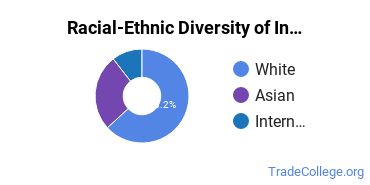 Racial-ethnic diversity of Industrial & Management Engineering majors at Wayne State University