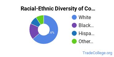 Racial-ethnic diversity of Construction Engineering Technology majors at Western Carolina University
