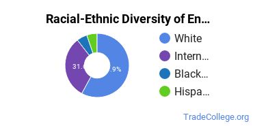 Racial-ethnic diversity of Engineering-Related Fields majors at Western Michigan University