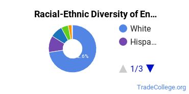 Racial-Ethnic Diversity of Energy Management and Systems Tech Students with Associate's Degrees